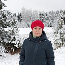 ���� �����, �����-���������, 41 ��� - ��������� 31 ������ 2025 � ������ ���� ����������