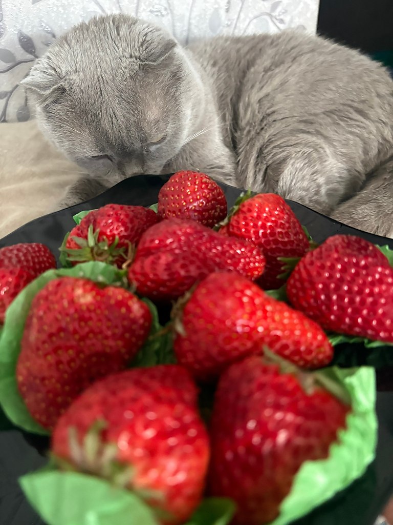 � ������ ���� �����! ���� ����������� ����������! - 2