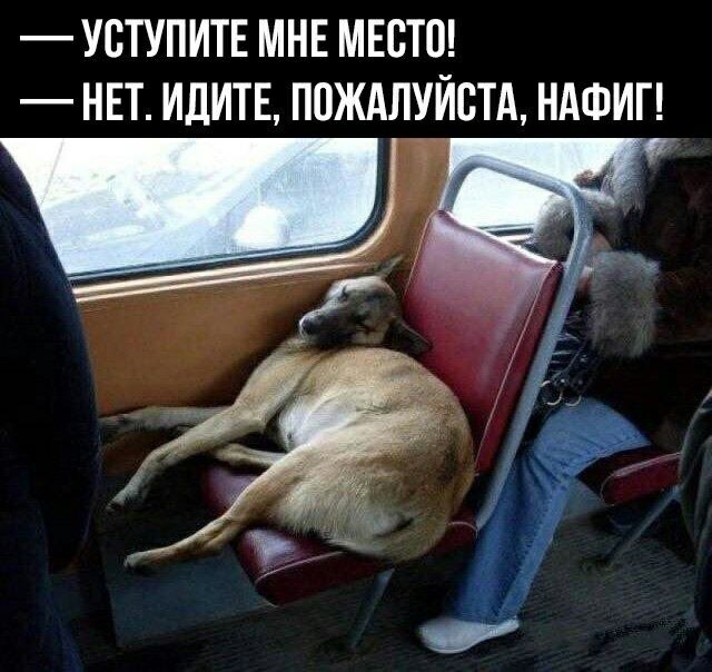    - 2  2023  02:40