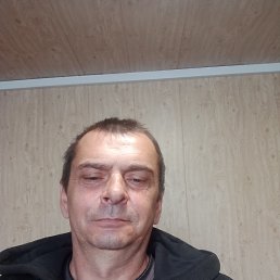 ����, 49 ���, ���������