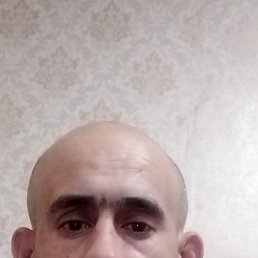 , 38, 