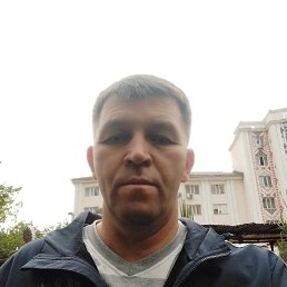 , 50, 
