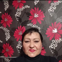 , 61, 