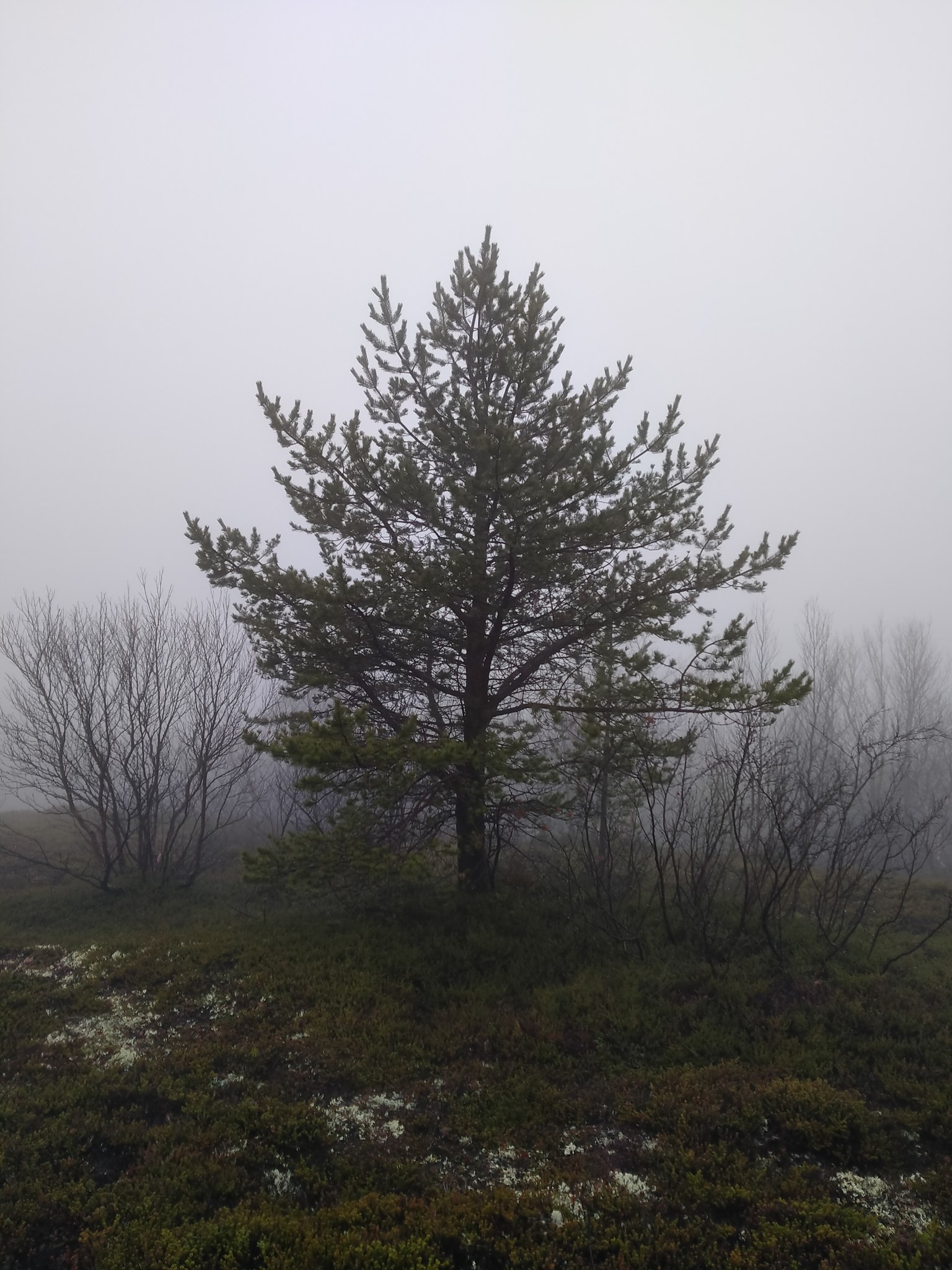 ������� - 2 ������� 2025 � 16:05 - 3