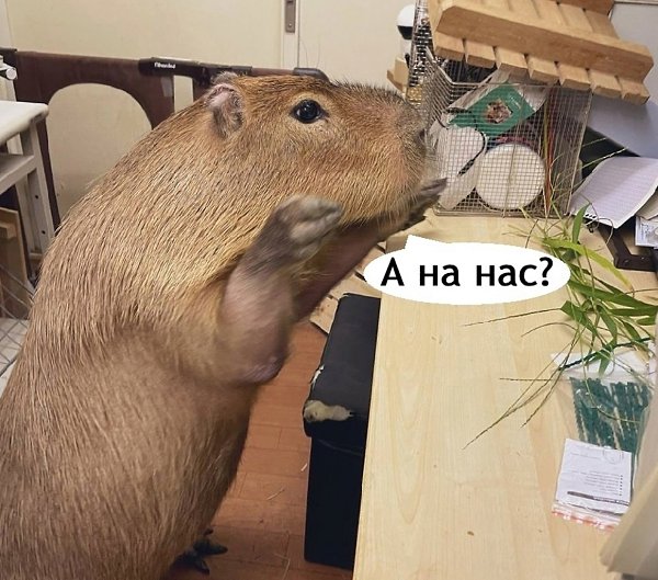 Вот так вот, будете жалеть что мы ушли - 3