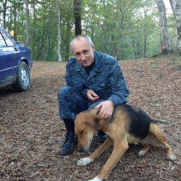  , 54, 