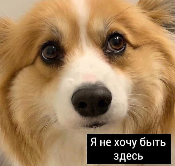    - 4