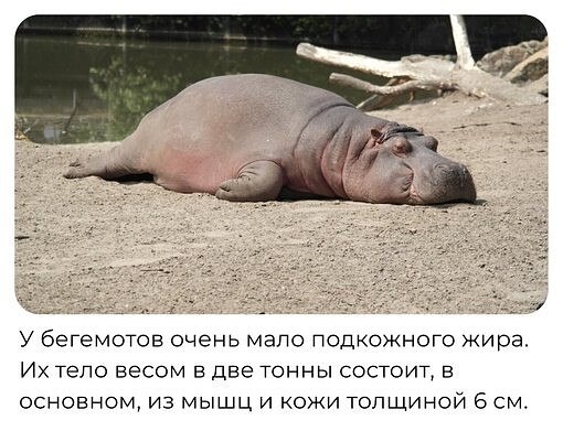 -------------------