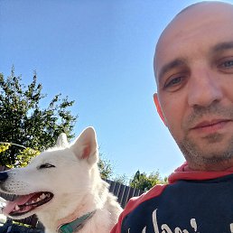 , 38, 