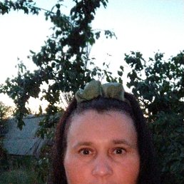 , 39, 