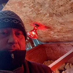 ���������, ���������, 56 ���