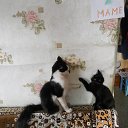 ���� �������, ��������, 69 ��� - ��������� 20 ������ 2025 � ������ ������ ��������