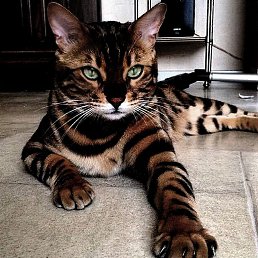 ���� Ruslan, �������, 37 ��� - ��������� 2 ���� 2026