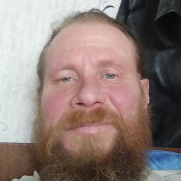 ������, ���, 51 ���