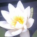 ���� ��������� ���������, ��������, 59 ��� - ��������� 25 ����� 2026 � ������ ���� ����������