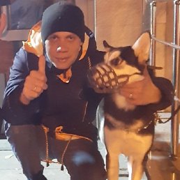 ����, 38 ���, ������������