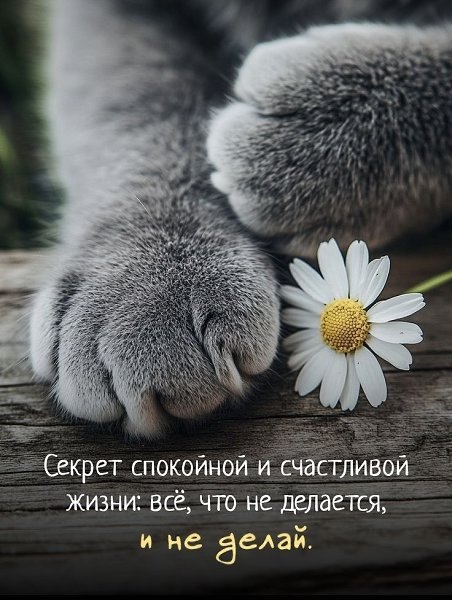 , !!! !. - 16  2025  21:49