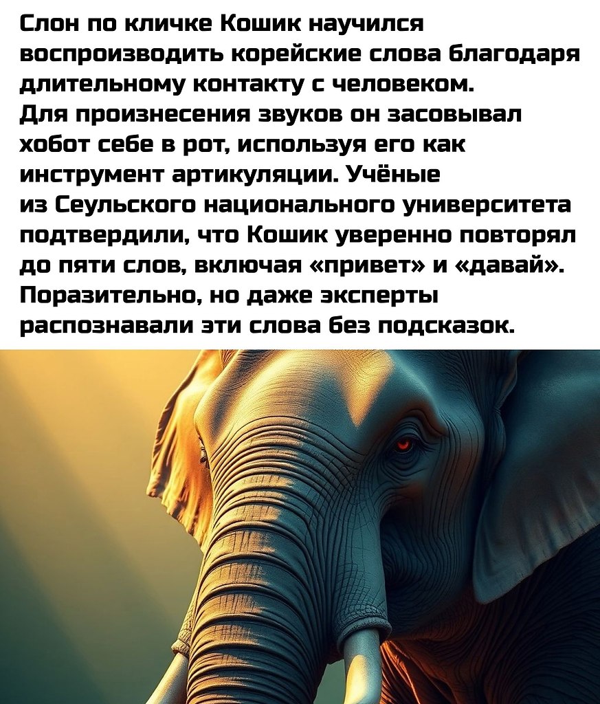  |  |   5 - 14  2025  04:29 - 2