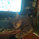 ���� �������, �������, 64 ���� - ��������� 18 ������ 2025 � ������ ������ ��������