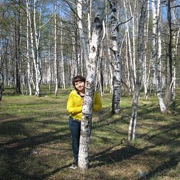 ������, �������������-����������, 48 ���