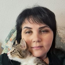 , 44 , -