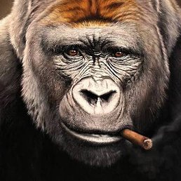 ������, ����, 39 ���