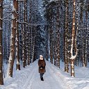 ���� �����, �������� - ��������� 24 ������� 2025