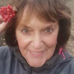 �������, �����������, 65 ���