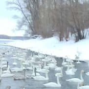 Артём, 35 лет, Челябинск Артём, 35 лет, Челябинск