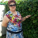 ���� �����, ����� - ��������� 29 ������ 2026 � ������ ���� ����������