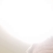 �����, 39 ���, ������