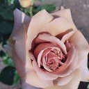 ���� V, �����������, 47 ��� - ��������� 30 ���� 2025 � ������ ������ ��������