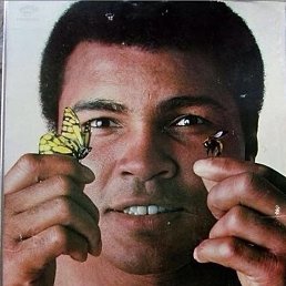 ���������� �����, ������, 24 ����