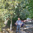 ���� Arif, ����, 72 ���� - ��������� 11 ���� 2024 � ������ �߻