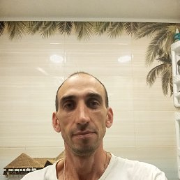 , 38,  