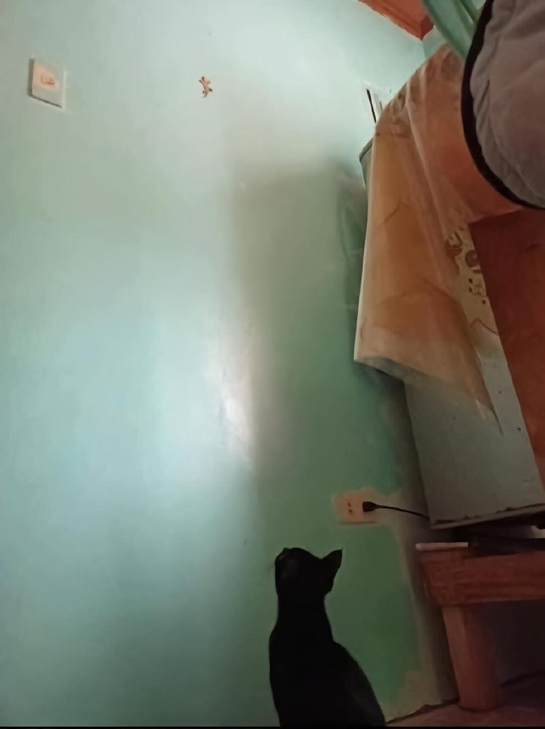  - 3