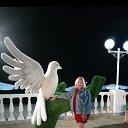 ���� �����, ������-��-����, 42 ���� - ��������� 28 ������� 2024 � ������ ���� ����������