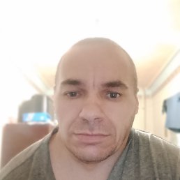 , 41, 