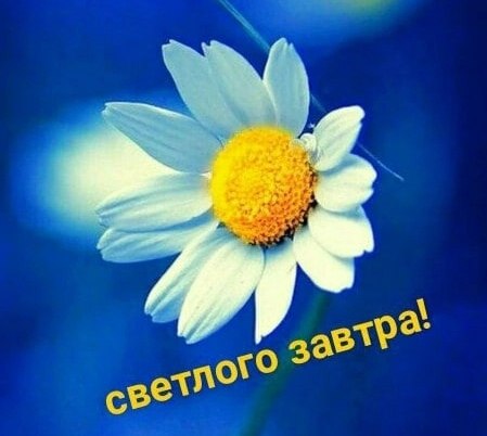   ,    . - 6  2025  22:14 - 2