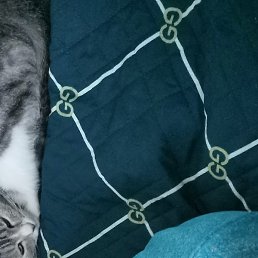 ������, �����������, 30 ���