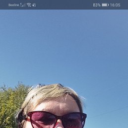 ���� �����, �����������, 55 ��� - ��������� 11 �������� 2026