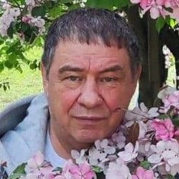 �����, ���, 64 ����