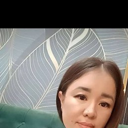, 29, 
