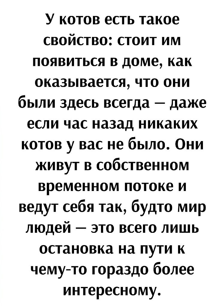       - 20  2025  12:04