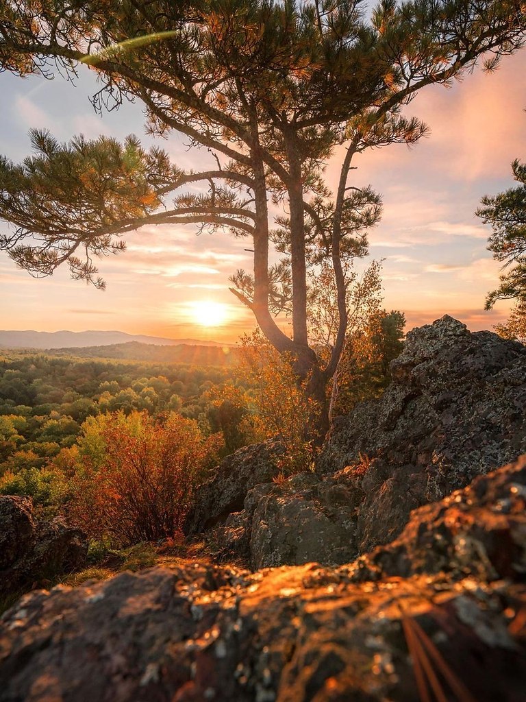 op pee ep.aapoc pa oo: e eo - 3