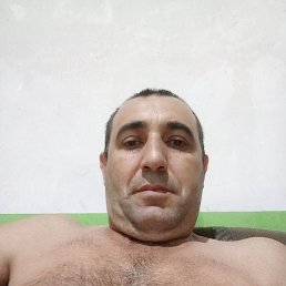 , 41 , 