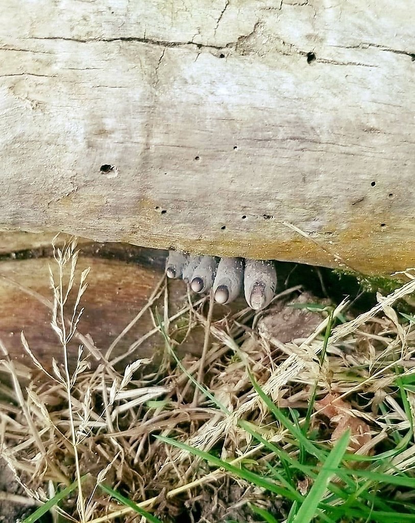    ,      ,  ,   ... - 2