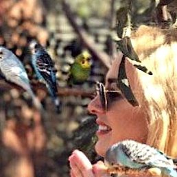 ����, ������