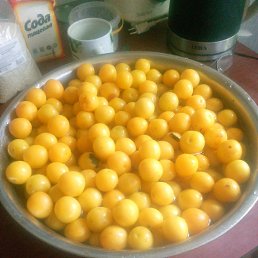 ���� �������, ����, 65 ��� - ��������� 1 ������� 2026