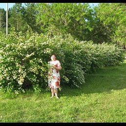 Фото Елена, Томск, 54 года Елена, Томск, 54 года